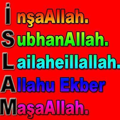 602674_10151179979289397_1241766895_n