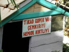 1000981_545449845519837_598486633_n