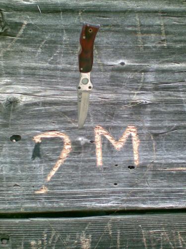 486575_342444152505695_1135991812_n